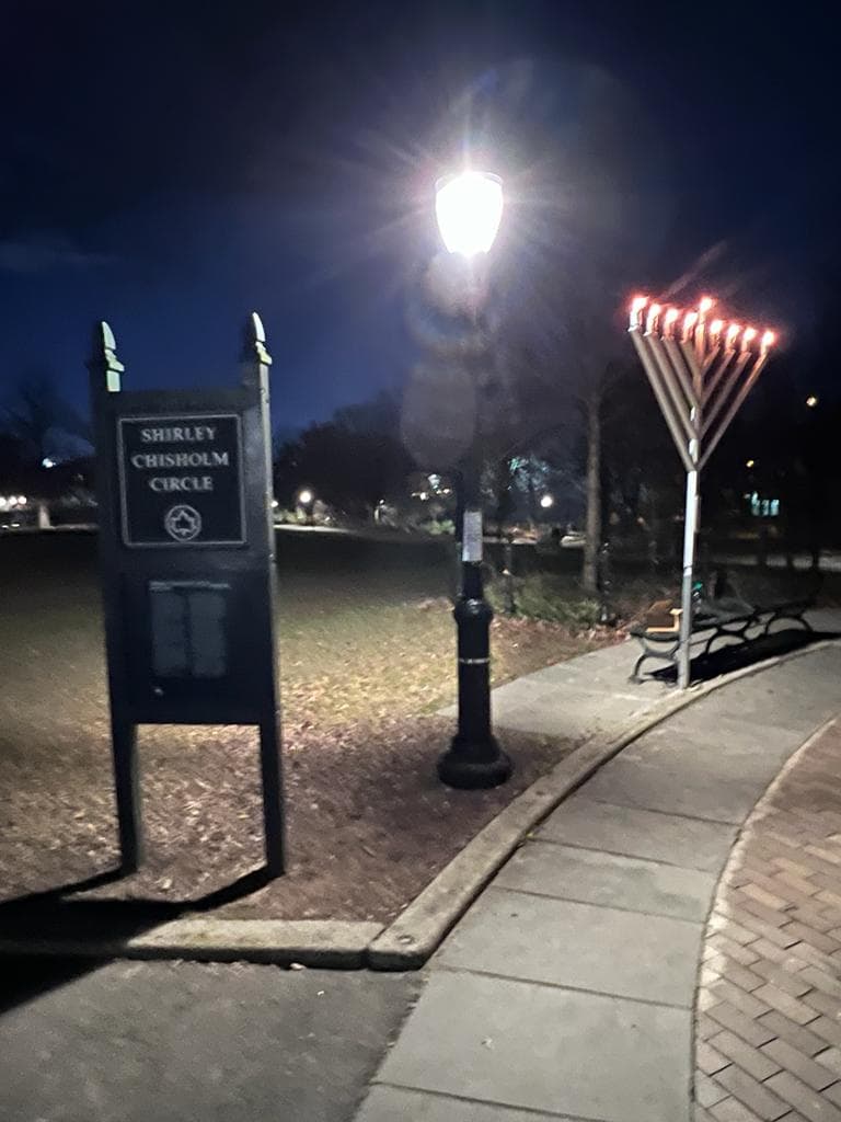 Menorahs Around the Boroughs